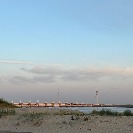 Slapen Bie Wisse Lägenhet Kamperland Exteriör bild