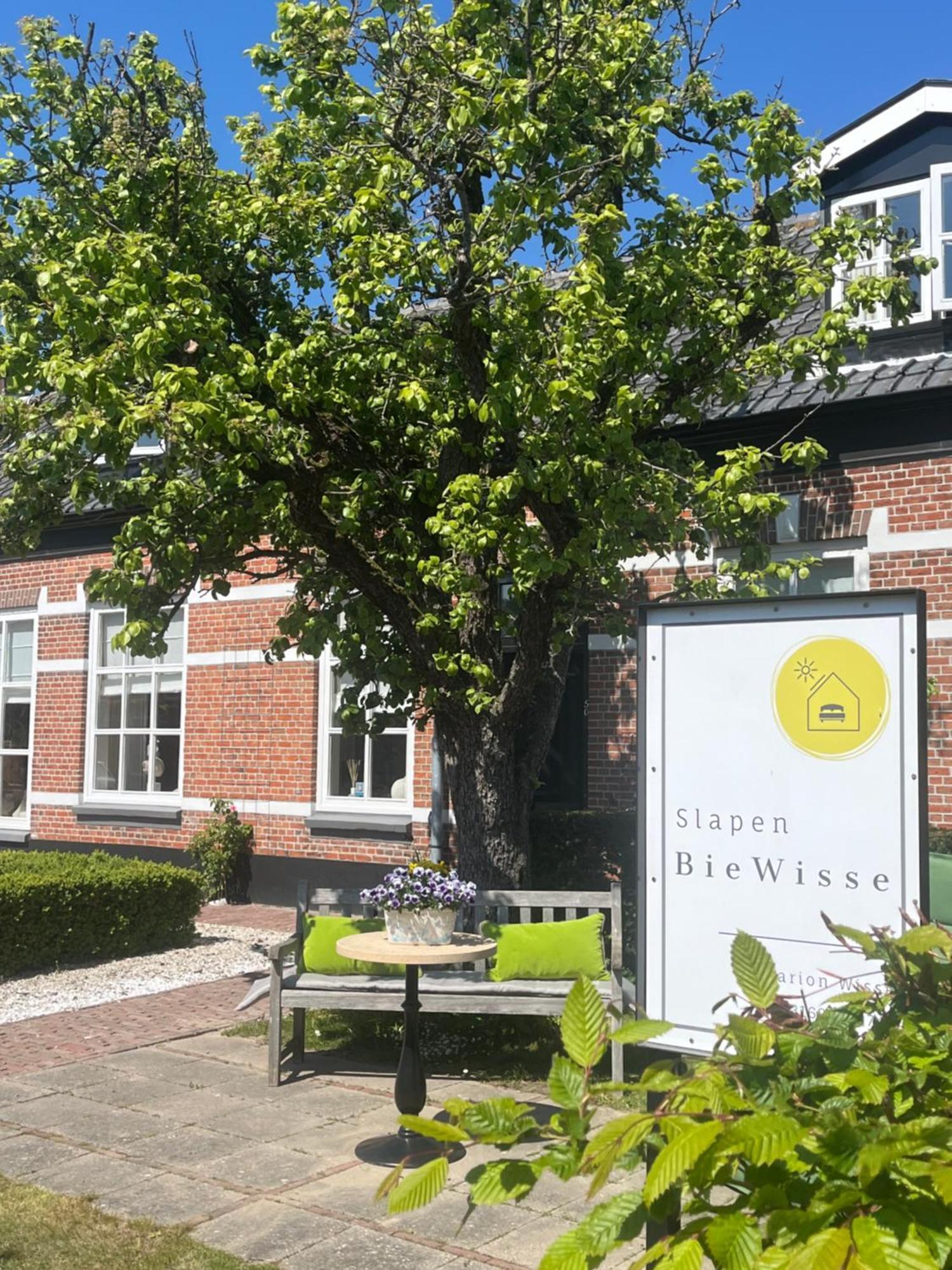 Slapen Bie Wisse Lägenhet Kamperland Exteriör bild